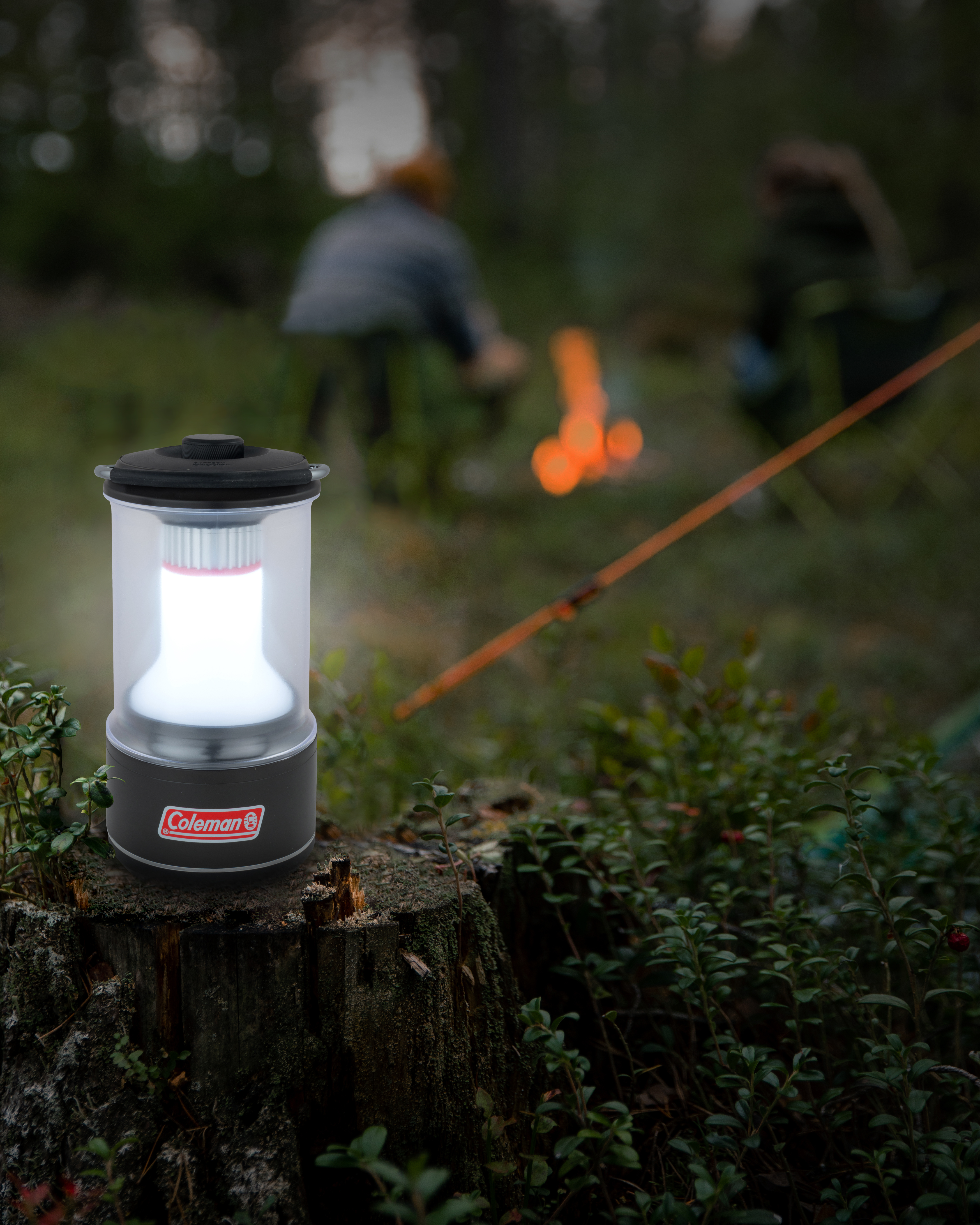 BatteryGuard 600L Lantern | Coleman UK
