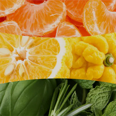 Tangerine & Citron Kerze