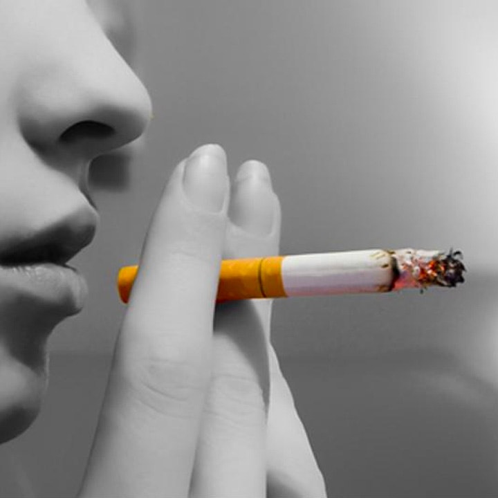 animals smoking cigarettes ad Is this giraffe puffing on a cigarette or it all just smoke and mirrors?