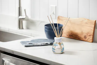 Ocean Air Diffuser