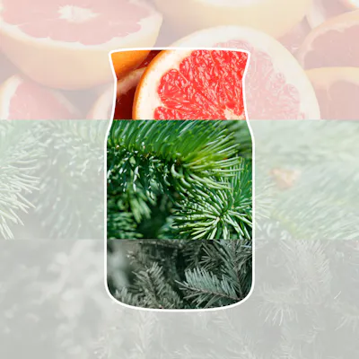 Candela White Spruce & Grapefruit