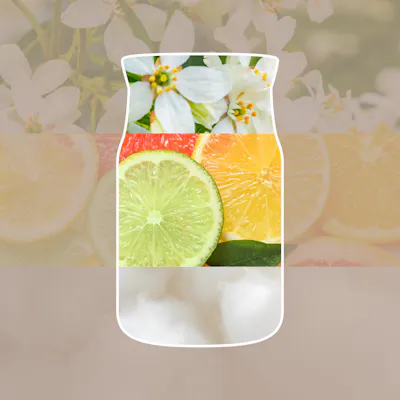 Seaside Woods Candle