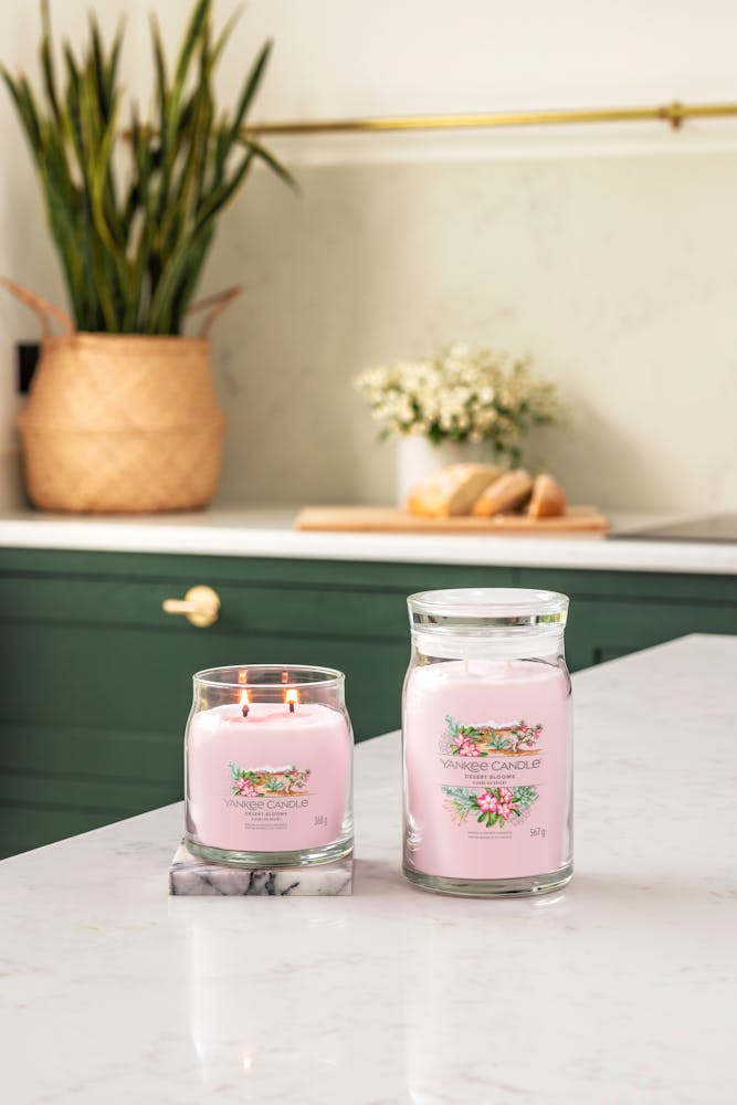 Candle Discovery Yankee Scent Of The Year 2021 Yankee Candle Scent