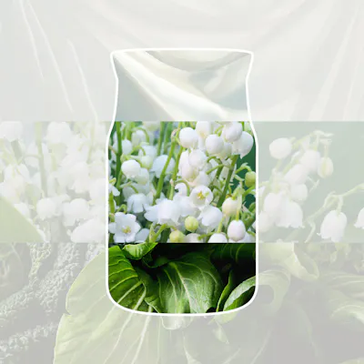 Clean Cotton Candle
