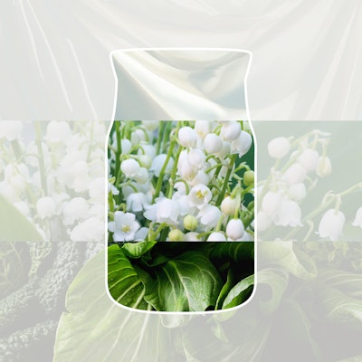 Clean Cotton Diffuser Starterset