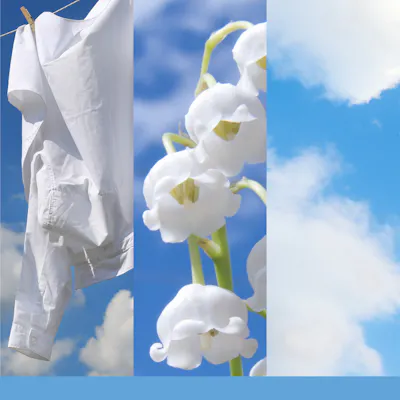 Clean Cotton&reg; Diffuser