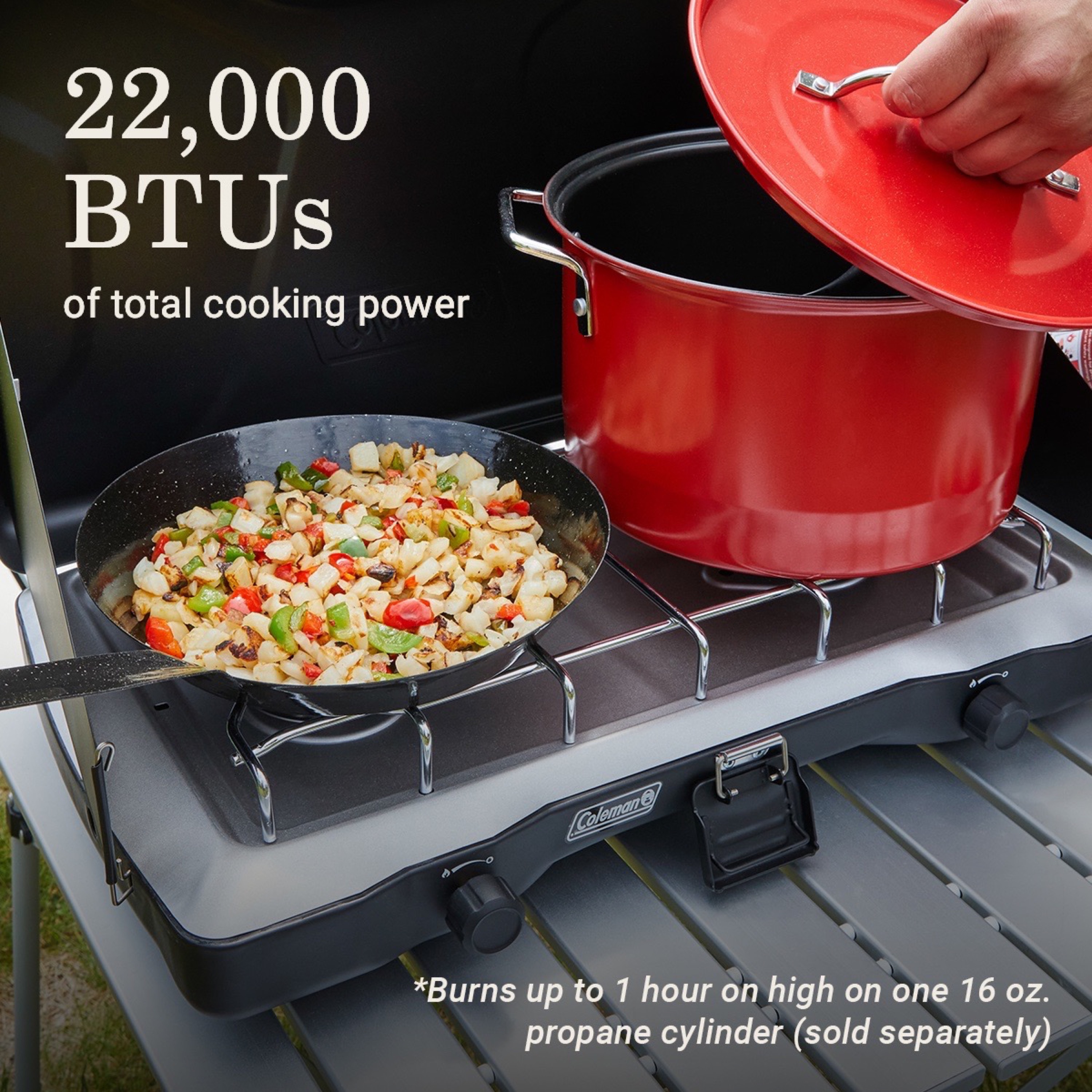 Triton™ 2-Burner Propane Camping Stove | Coleman