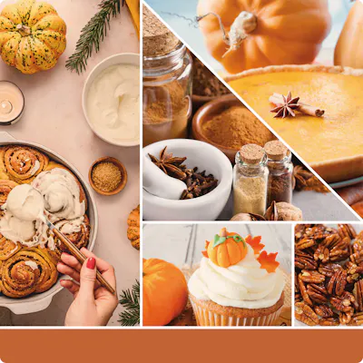 Pumpkin Cinnamon Swirl Wax Melt