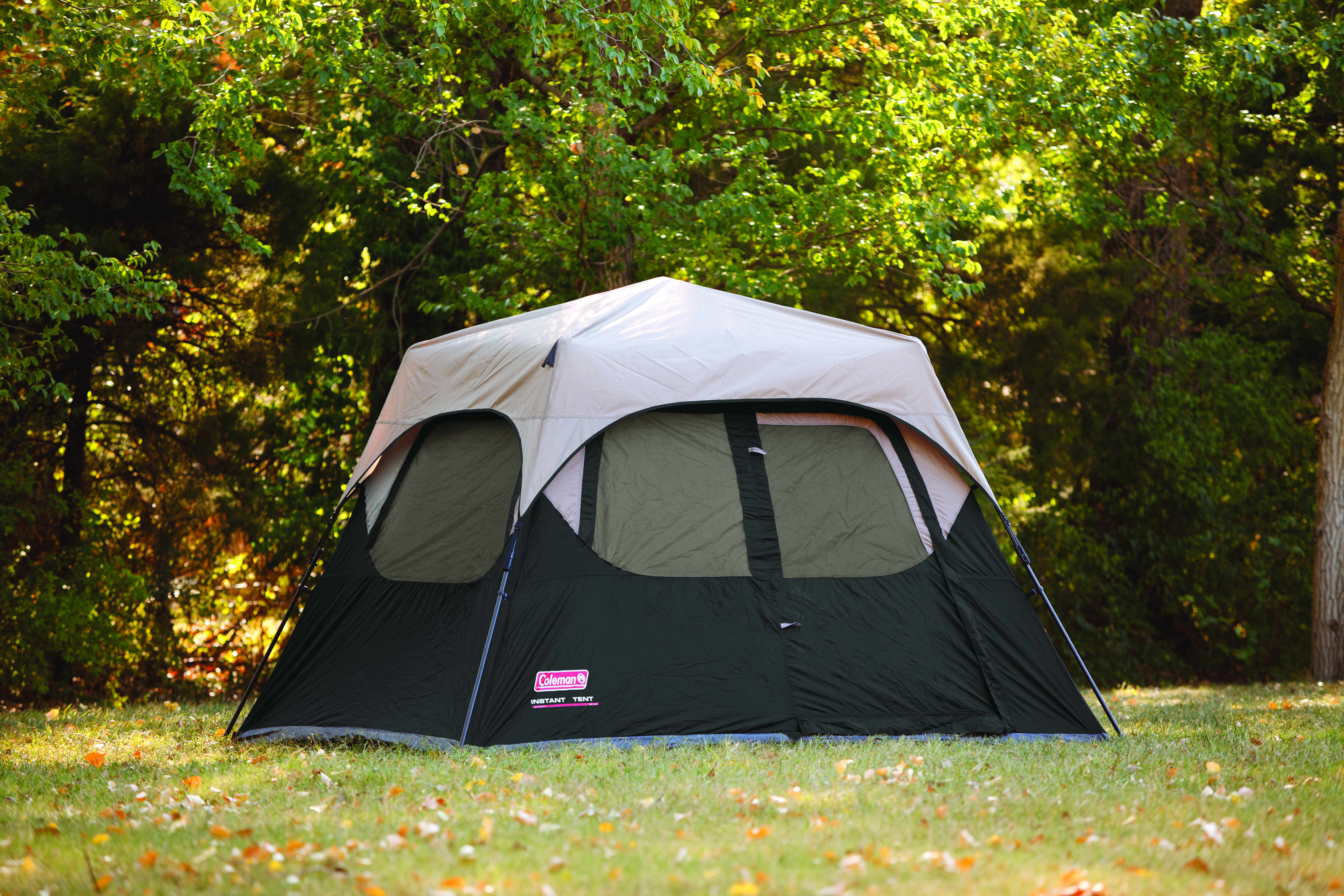 Coleman instant cabin 4 person tent hotsell