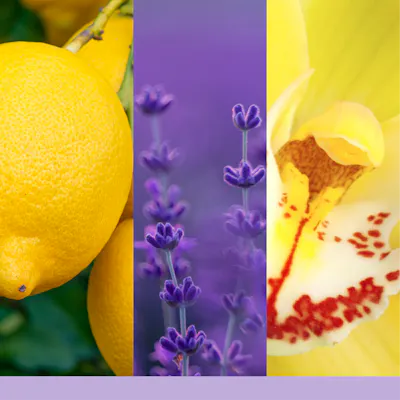 Lemon Lavender Candle