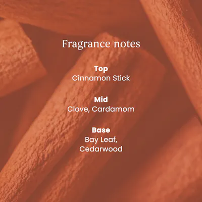Cinnamon Stick Diffuser