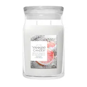 Candela White Spruce & Grapefruit