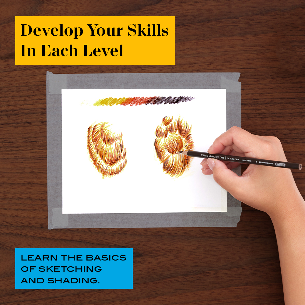 Technique Fox Drawing Art Set, Digital Lessons, Level 1 | Prismacolor