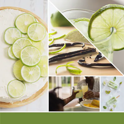 Vanilla Lime Diffuser Refill