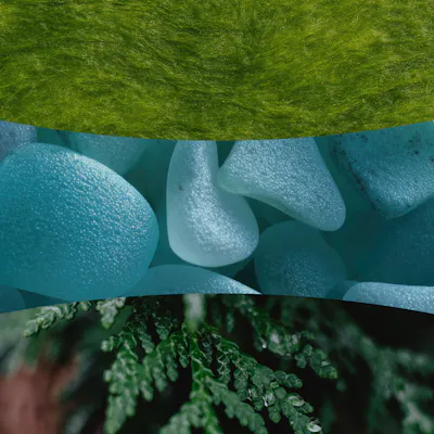 Cedarwood & Ocean Moss Kerze