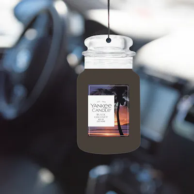 Black Coconut Car Air Freshener