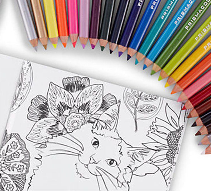 Assorted color pencils