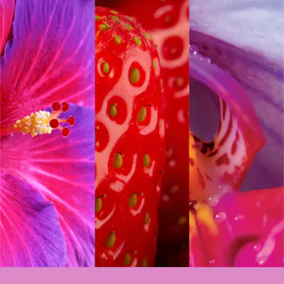 Wild Orchid Candle