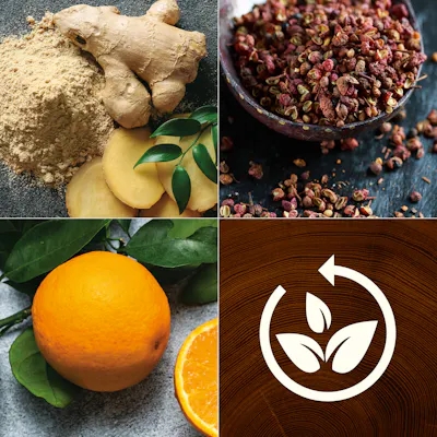 Ginger & Tumeric Kerze