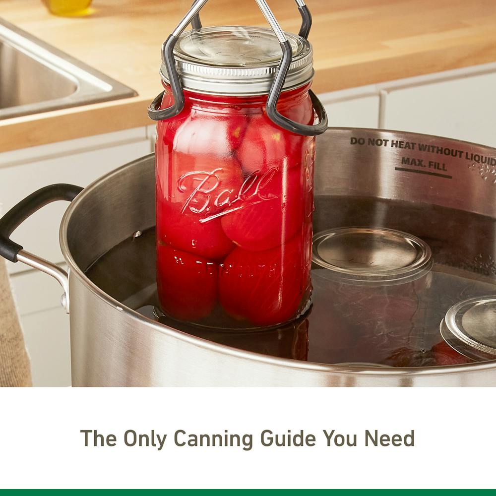 ball-blue-book-guide-to-preserving-38th-edition-recipe-book-ball for Ball Blue Book Pdf Free Printable Ball® Blue Book Guide to Preserving 38th Edition, Recipe Book | Ball for Ball Blue Book Pdf Free Printable