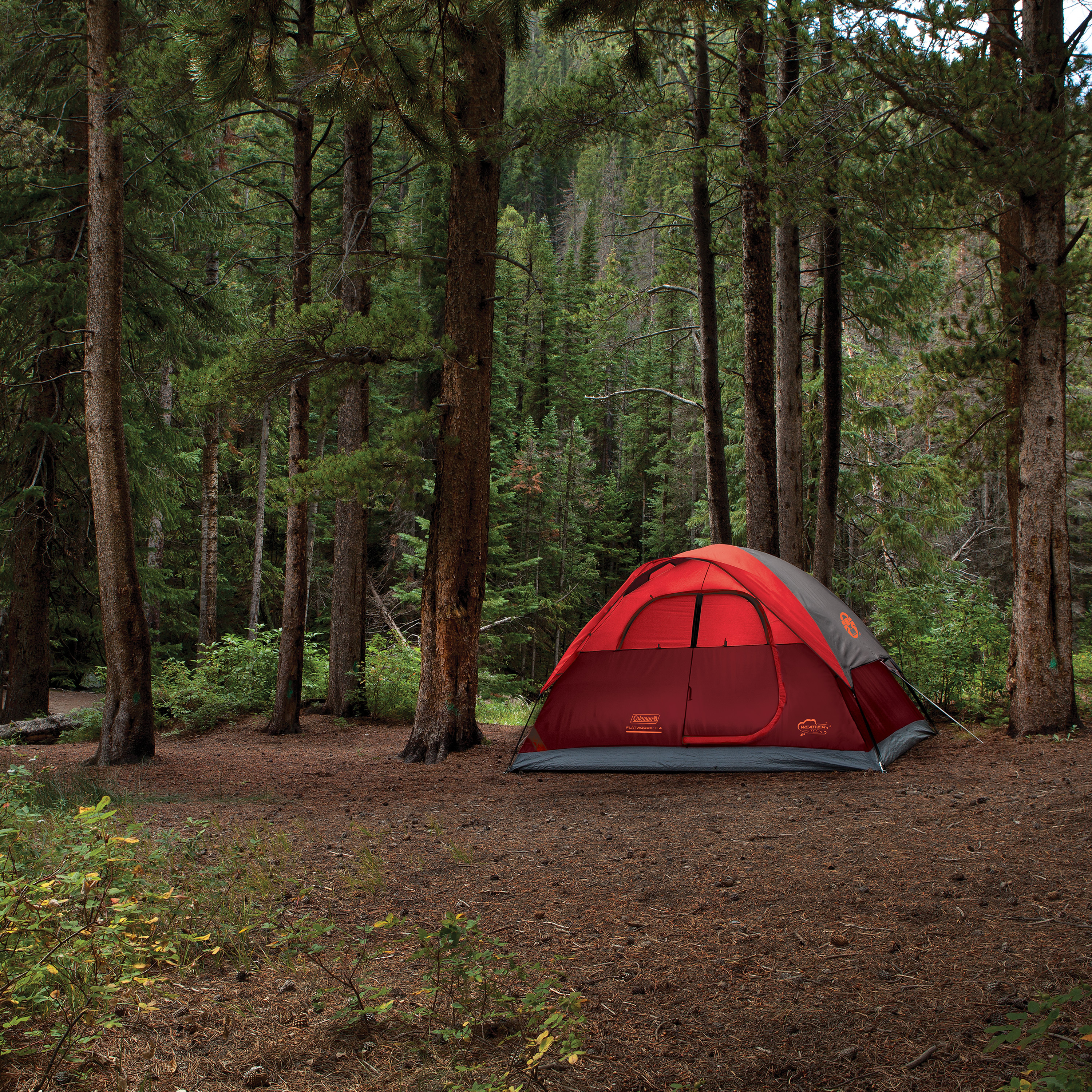 Amazon.com : Coleman Flatwoods Tent 4P TGT C002 : Sports
