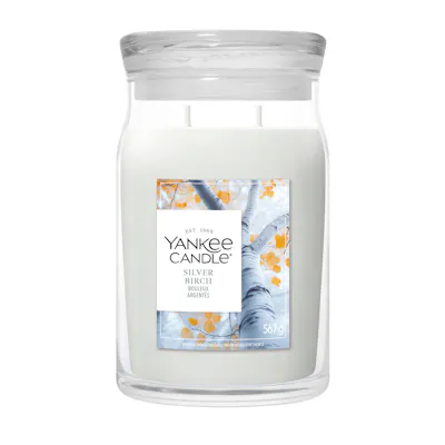 Silver Birch Candle