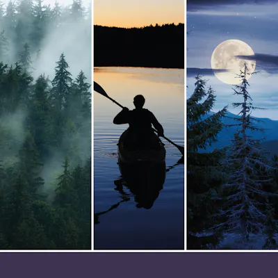Midsummer's Night&reg; Candle