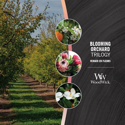 Blooming Orchard Kerze