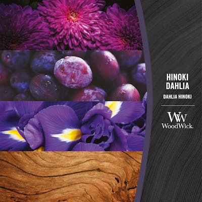 Hinoki Dahlia Kerze