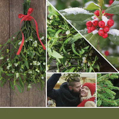 Mistletoe Kerze