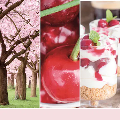 Pink Cherry & Vanilla Candle
