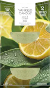 Sage & Citrus Diffuser Refill