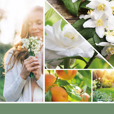 White Gardenia Candle