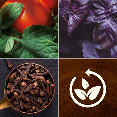 Tomato Leaf & Basil Candle