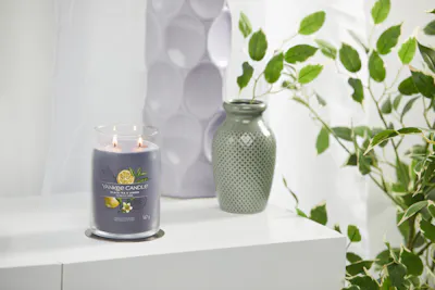 black tea and lemon signature large jar candle on table with plants