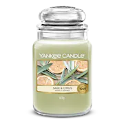 Sage & Citrus Candle
