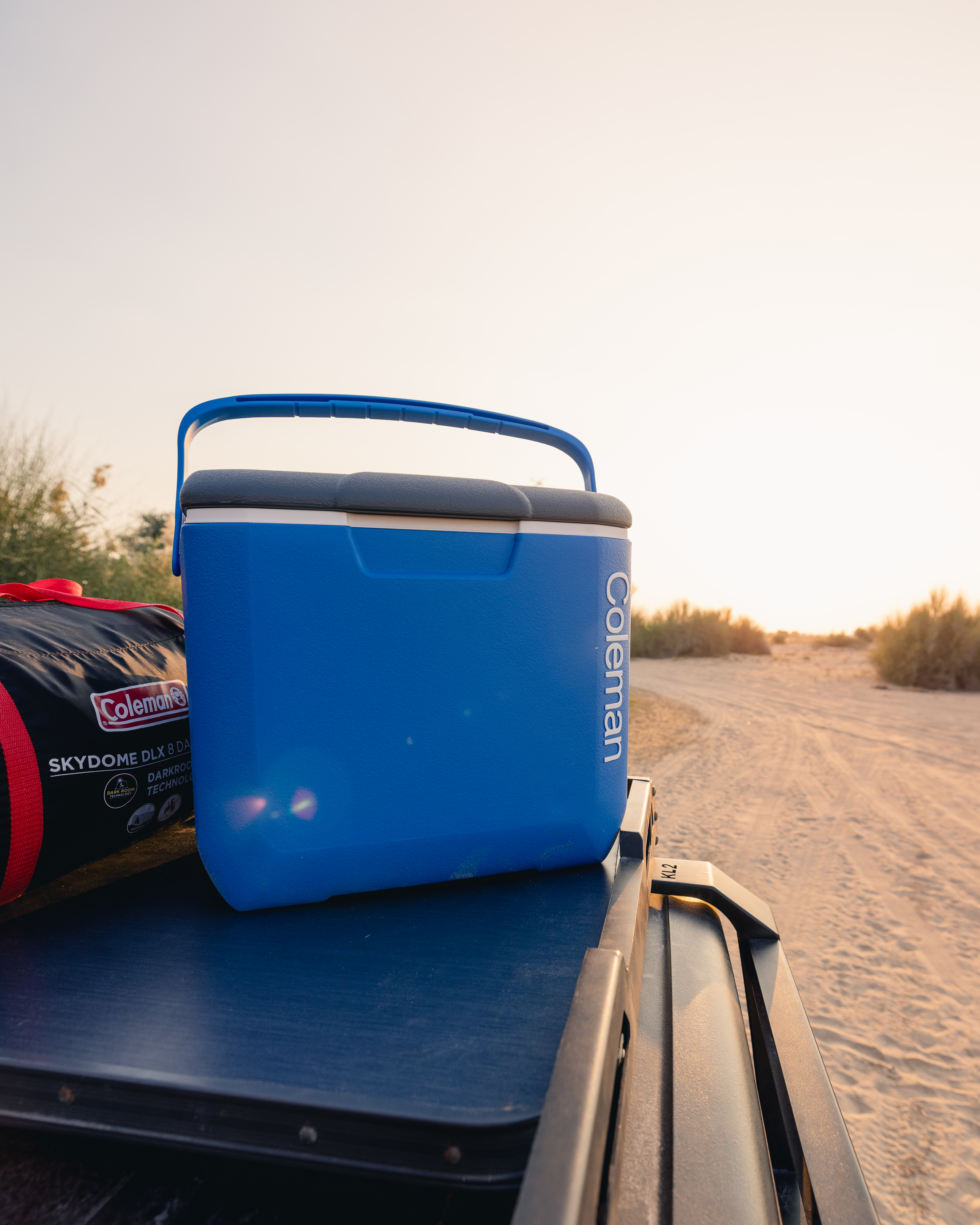 その他 THE PERFECT BOX 30L T-PROFESSIONAL X BLOCK PRO BASKET 30 PLUS KXB604030CS | Kistenberg