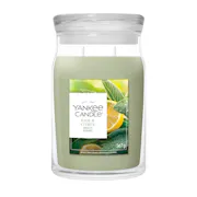 Sage & Citrus Candle