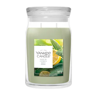 Sage & Citrus Candle