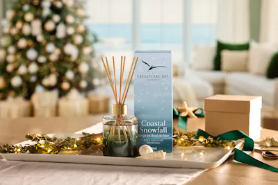 Coastal Snowfall Diffuser