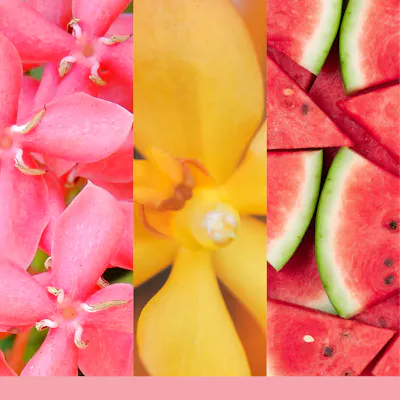 Pink Sands Diffuser Refill