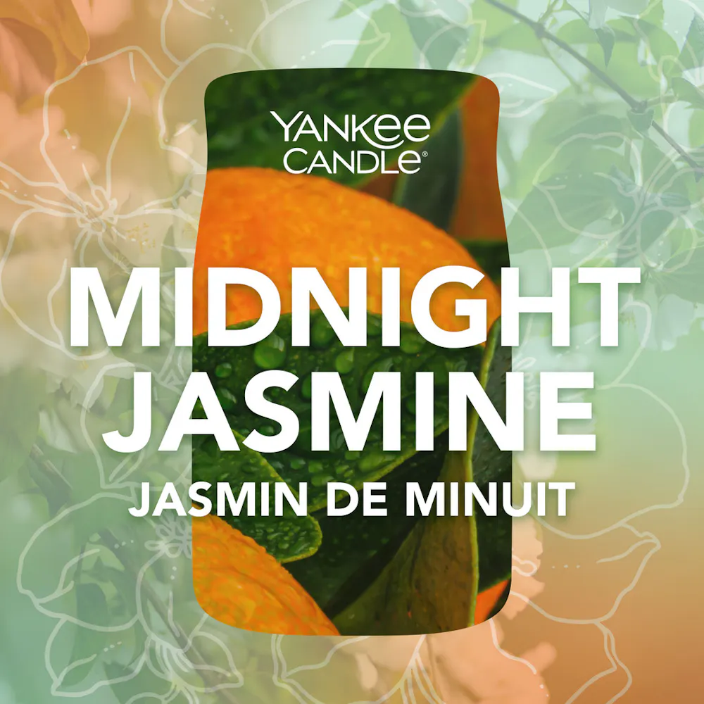 Yankee Candle Geurkaars in glas (kleine kaars in glas) | Midnight Jasmine | brandduur tot 30 uur Yankee Candle Geurkaars in glas (kleine kaars in glas) | Midnight Jasmine | brandduur tot 30 uur